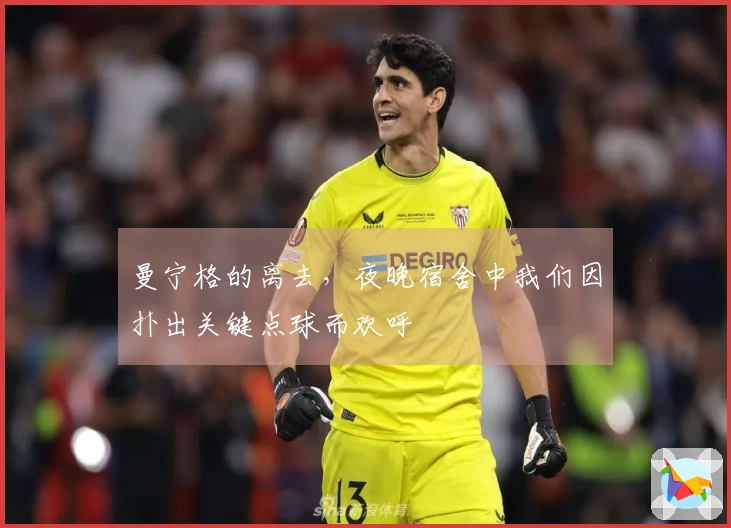 曼宁格的离去，夜晚宿舍中我们因扑出关键点球而欢呼