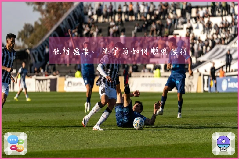 独特盛宴，济宁马如何顺利接待