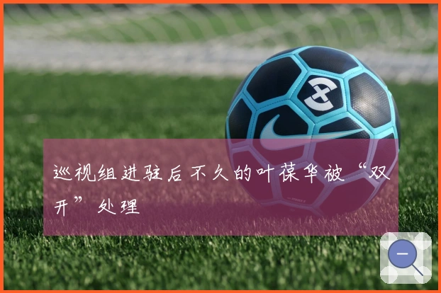 巡视组进驻后不久的叶葆华被“双开”处理