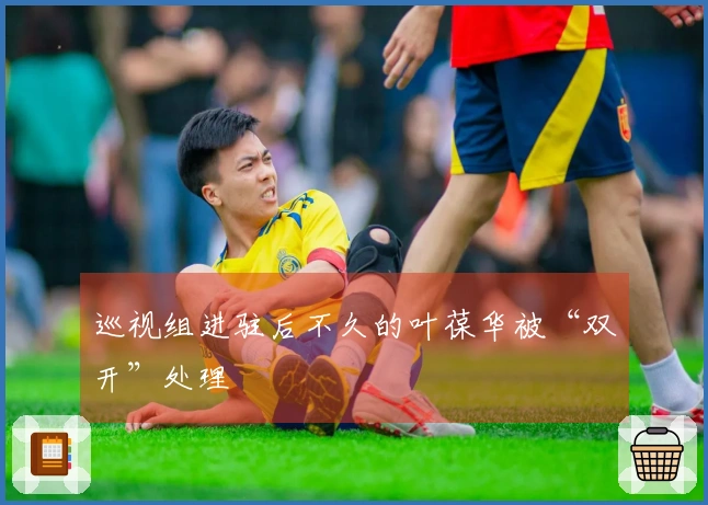 巡视组进驻后不久的叶葆华被“双开”处理